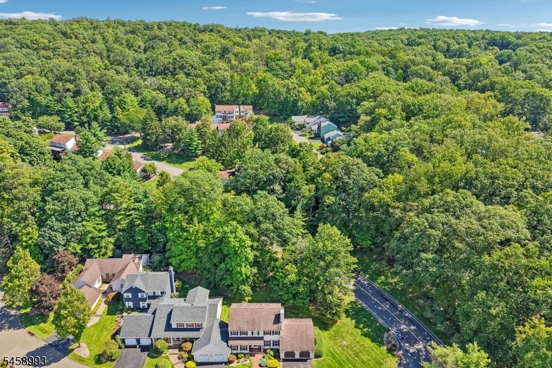 aerial