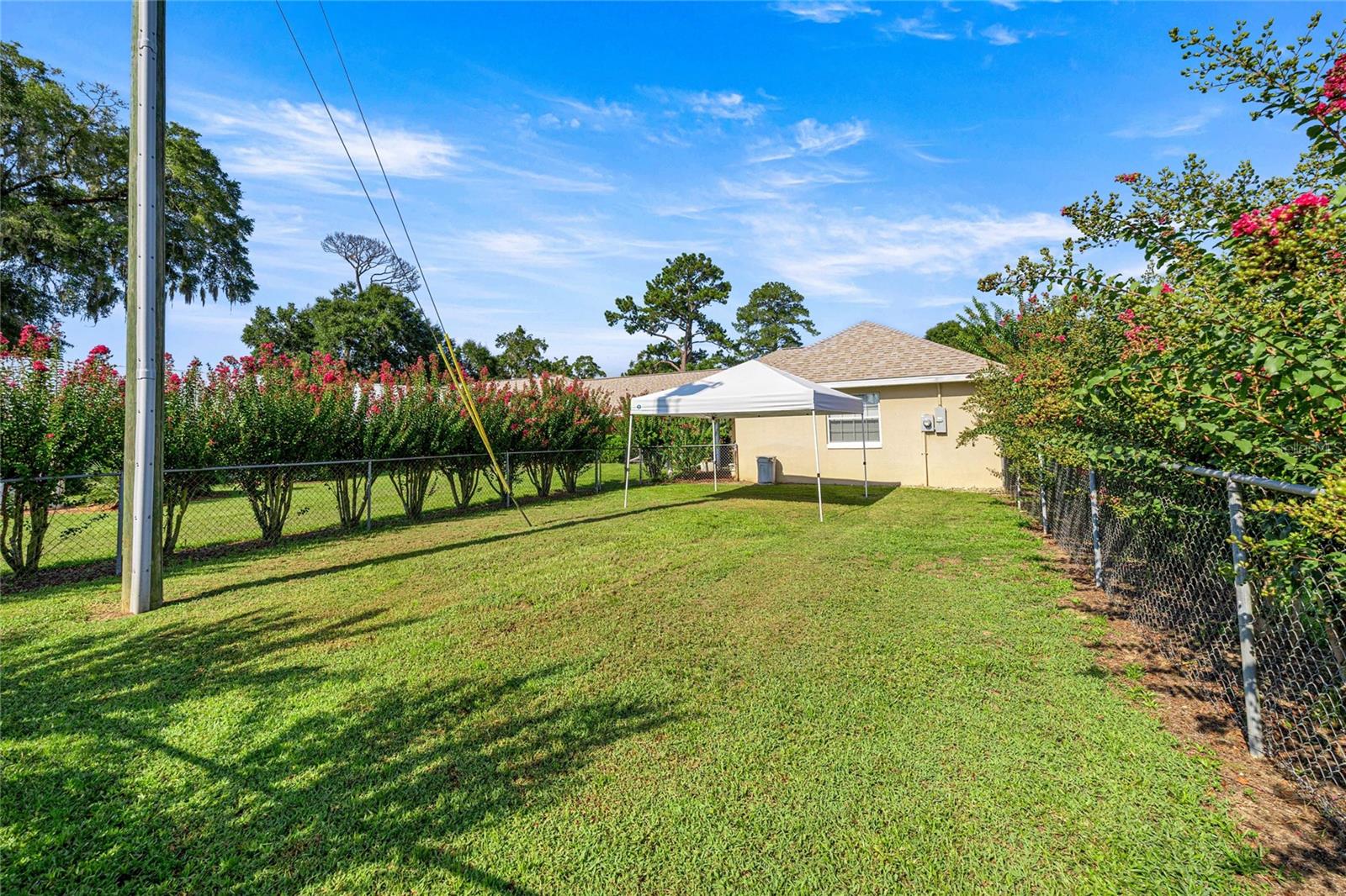 Back Yard/ Back of House