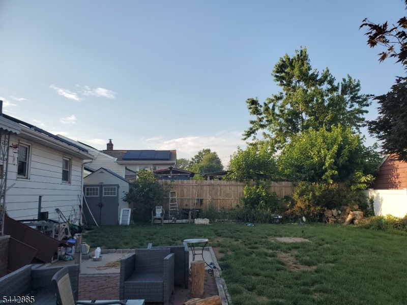 back yard