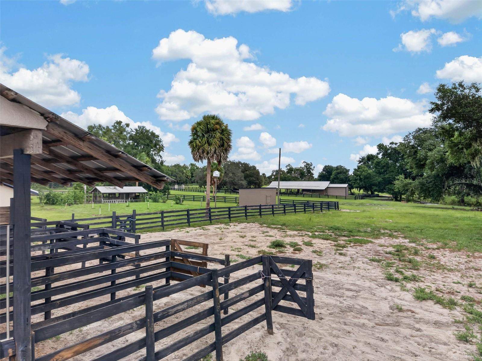 Horse Barn