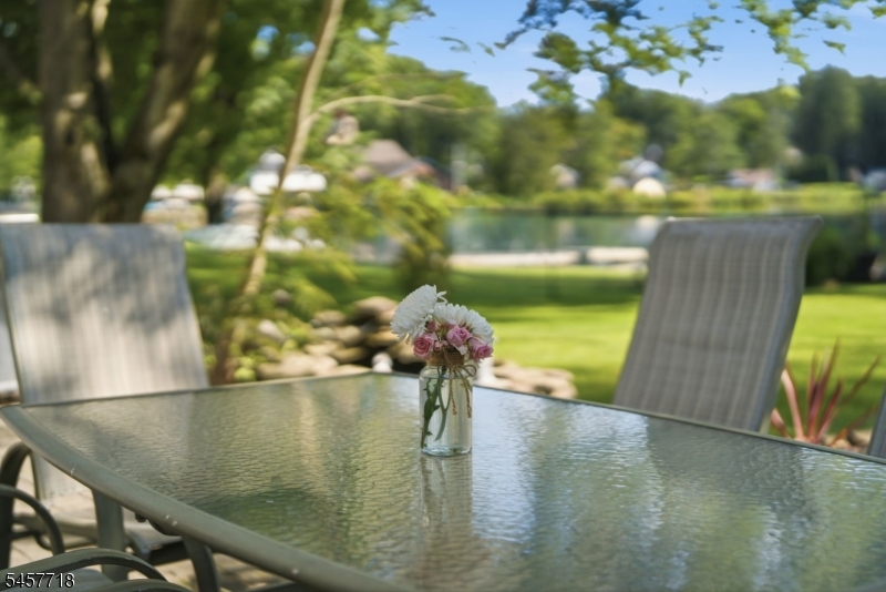 Lake Views