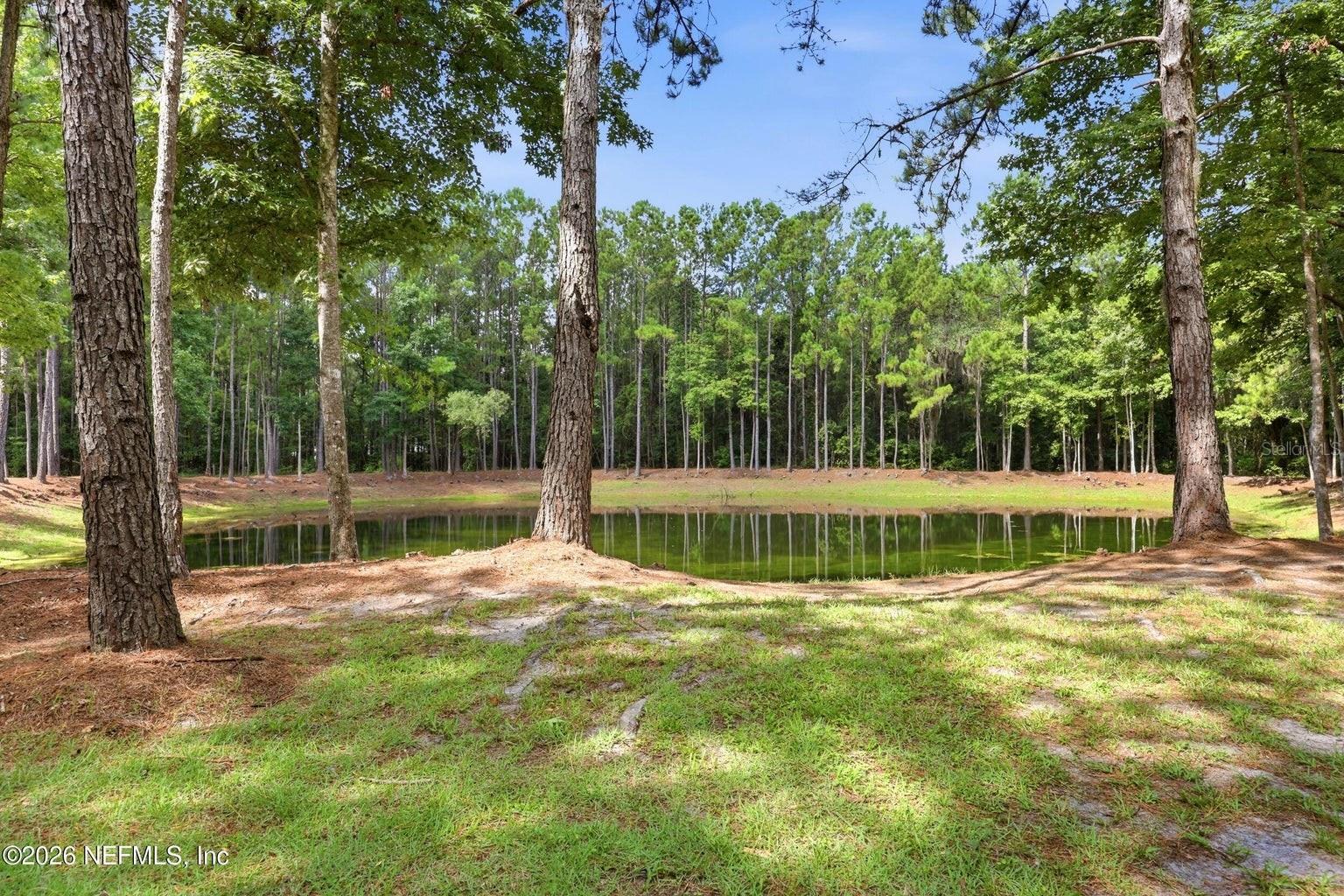 Private pond with Dock