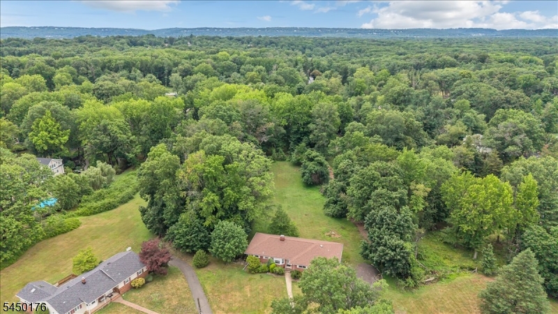 Drone view of property