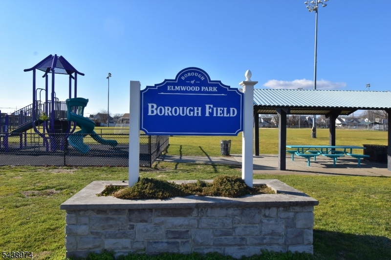 Borough Field