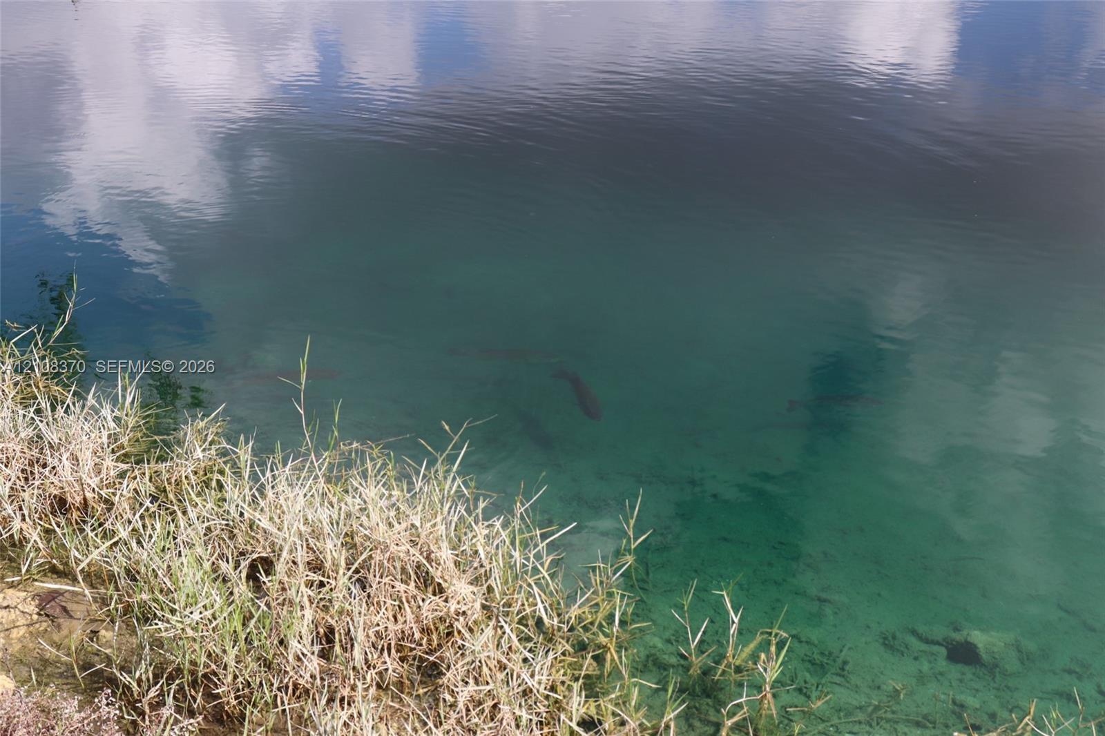 Waterfront property featuring a clear natural pond with aquatic life and native grasses along the shoreline