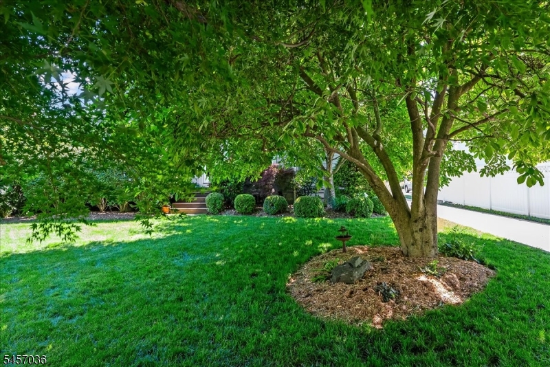 Mature landscaping