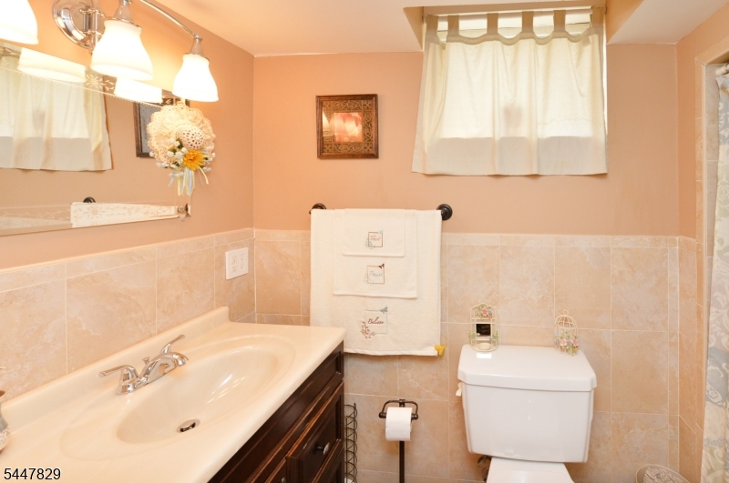 lower level bathroom