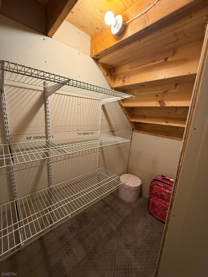Basement closet