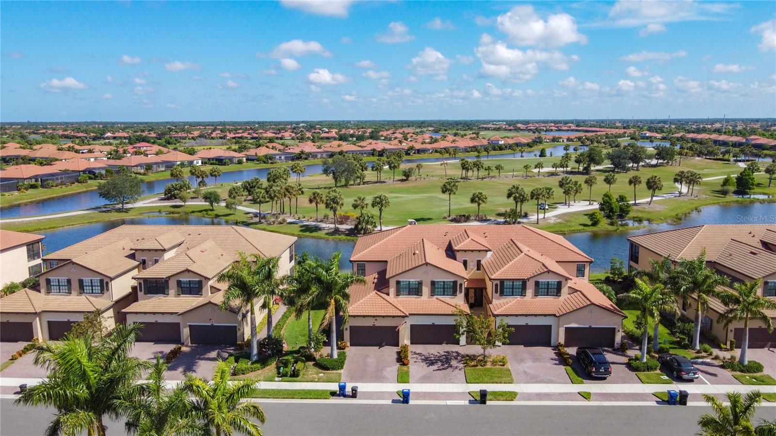 10796 Tarflower-#101