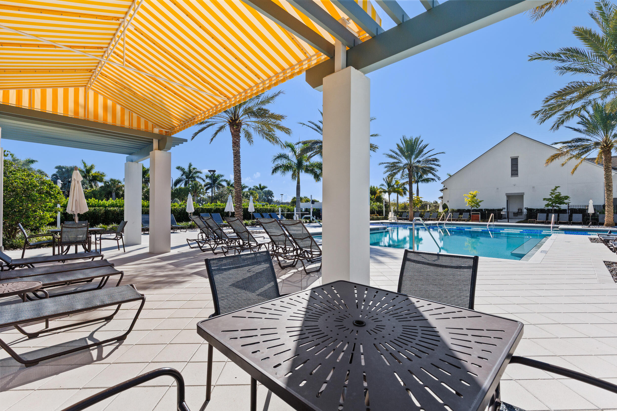 Adult Pool