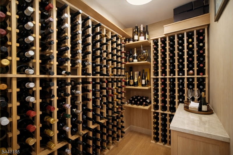 wine cellarr