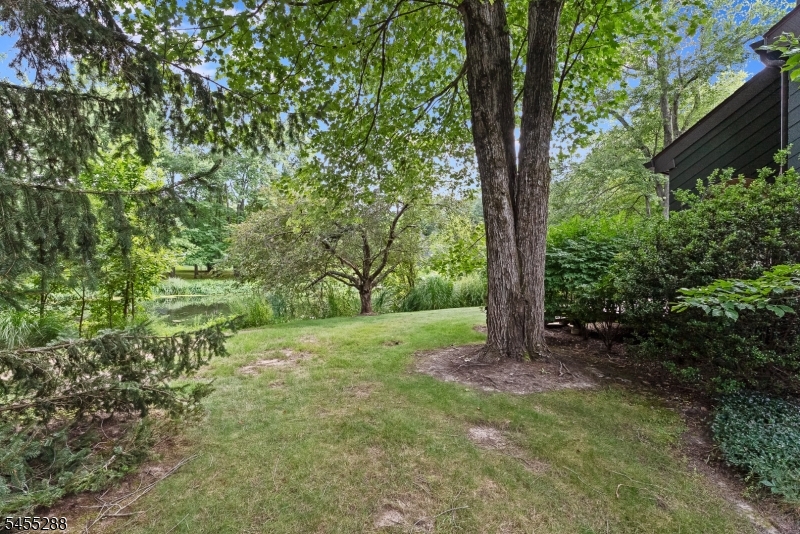 Private yard