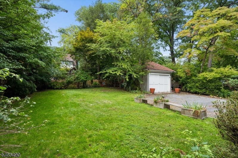 Rear Yard