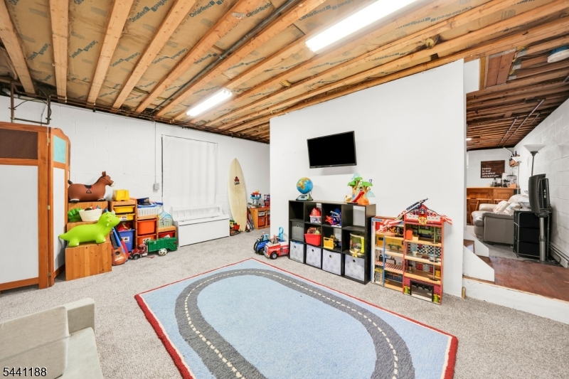 Basement w Bar