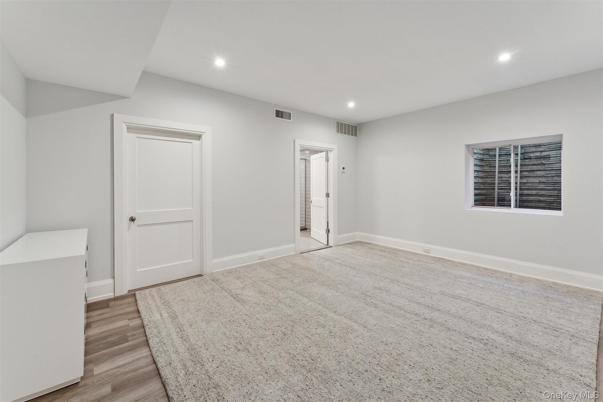 Lower Level Flex Space