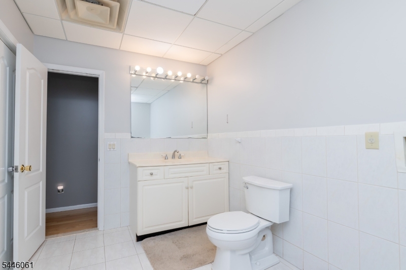 Lower Level Main Bathroom