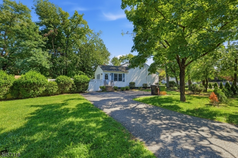 Side Yard