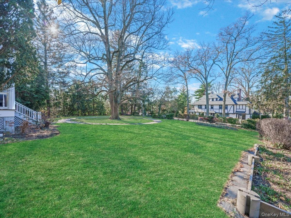 View of grassy yard with view of scattered trees