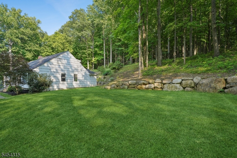 Side Yard
