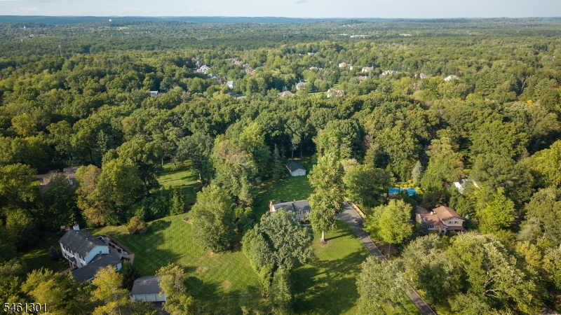 Drone View