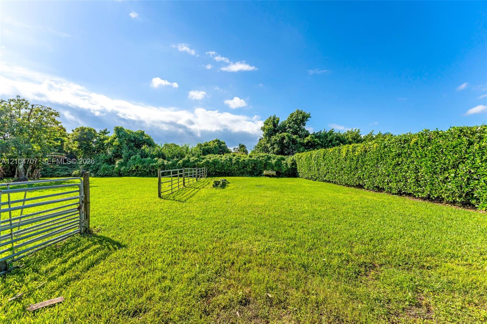 Expansive backyard featuring a covered outdoor kitchen, stone-accented grilling station, paved walking path, and mature specimen tree