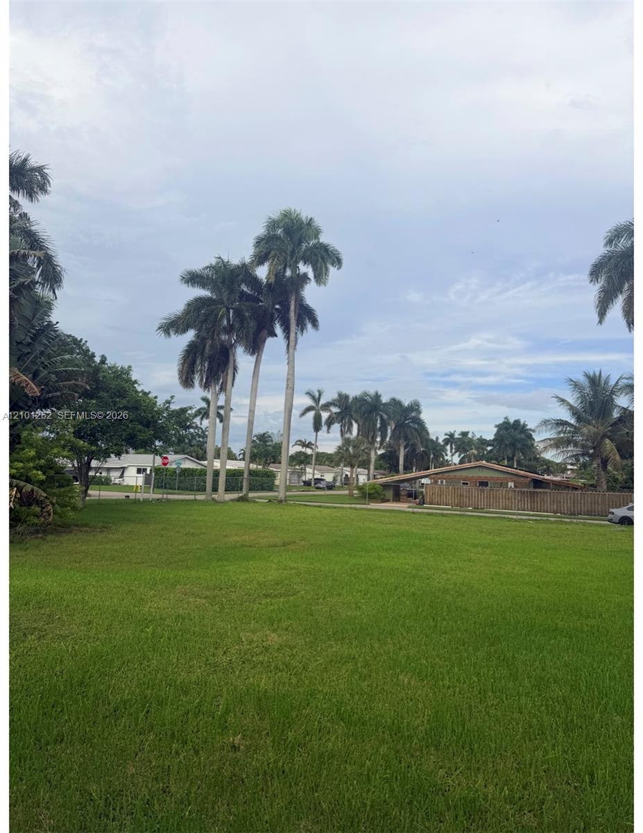 Expansive open lot featuring mature palm trees and established landscaping