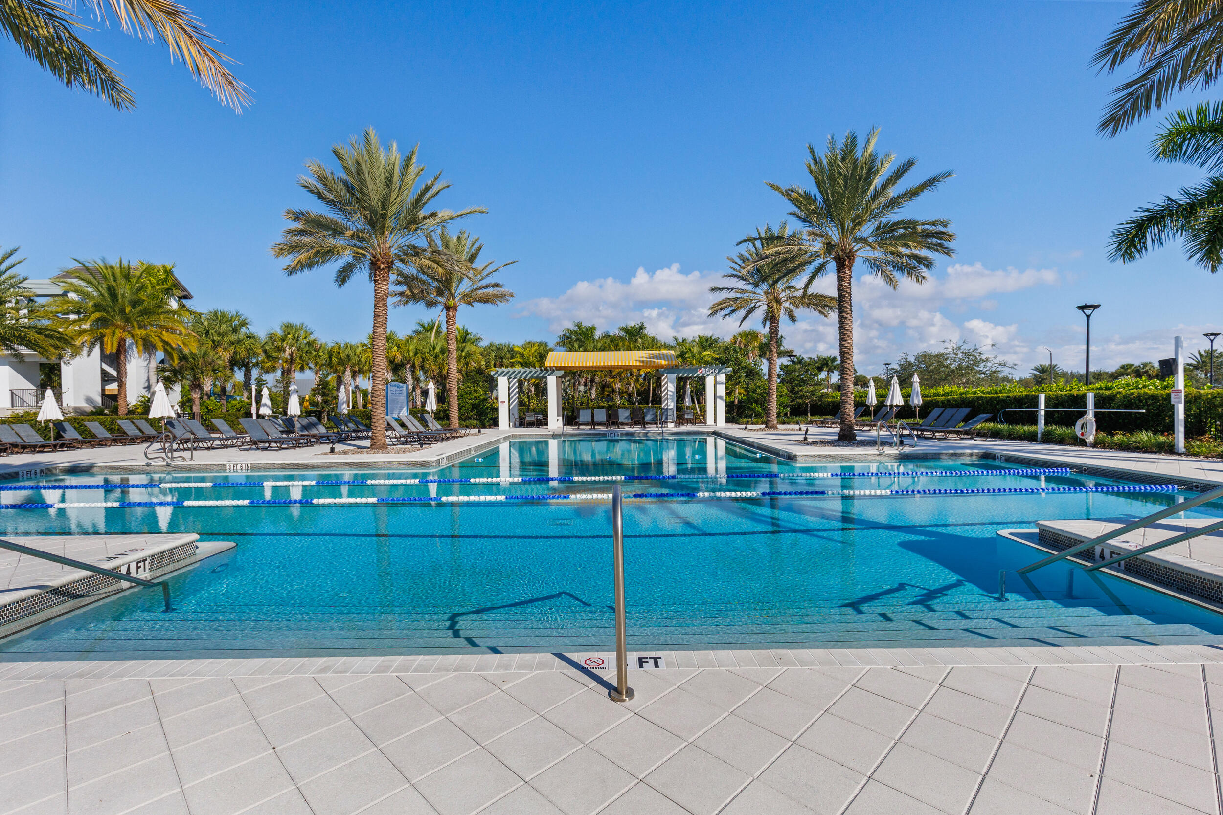 Adult Pool