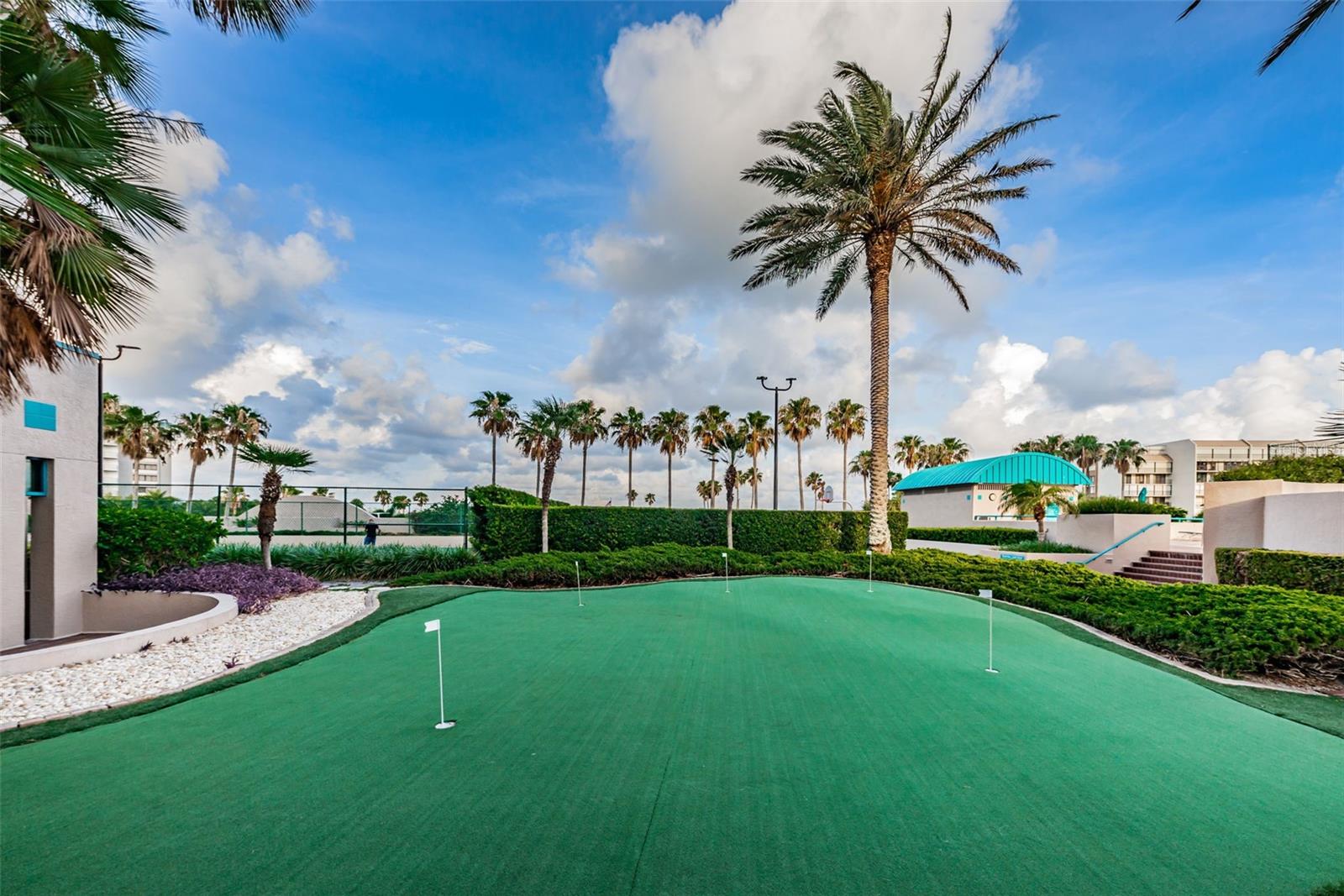 The Finest of Amenities...Putting Green.