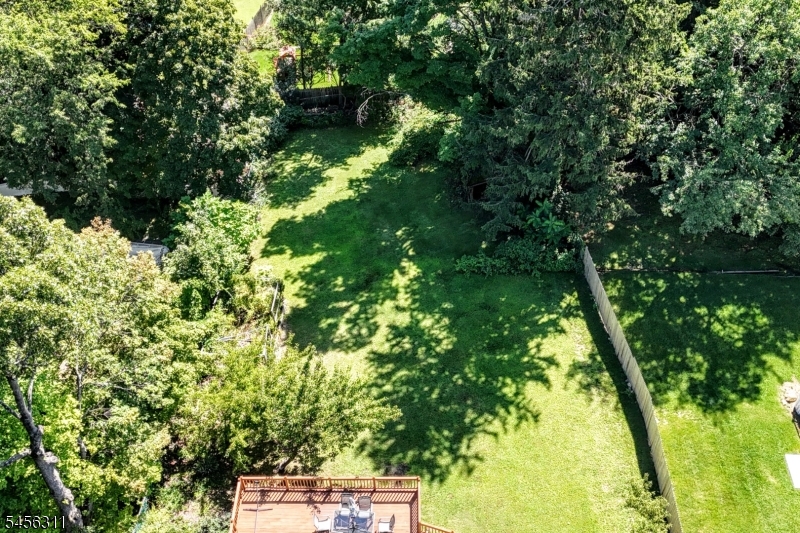 Birds Eye View
