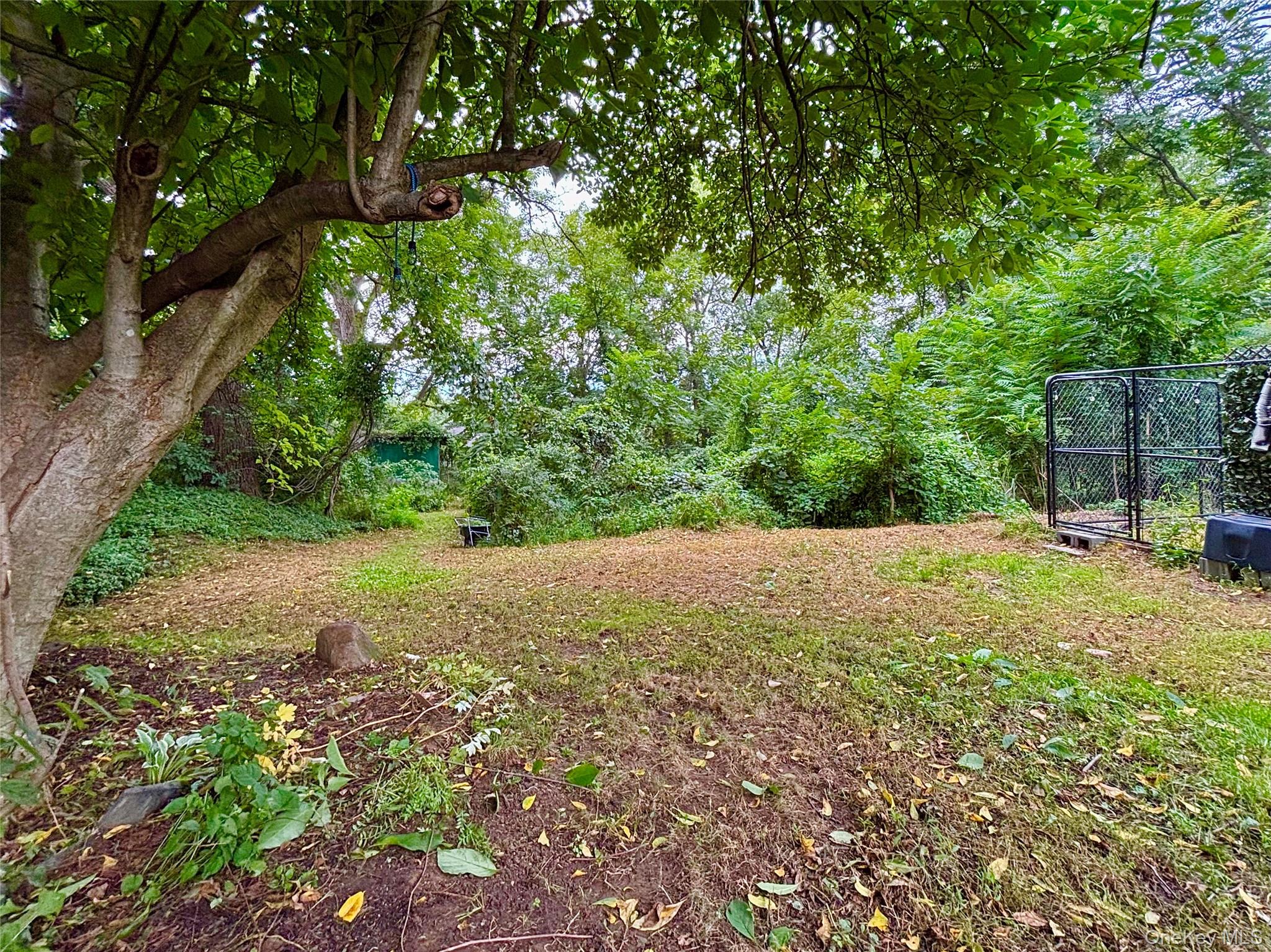 Deep backyard with lots of greenery