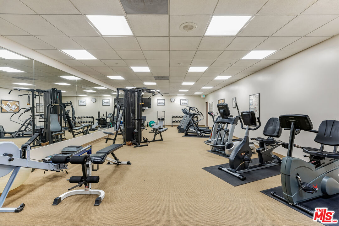 Gym