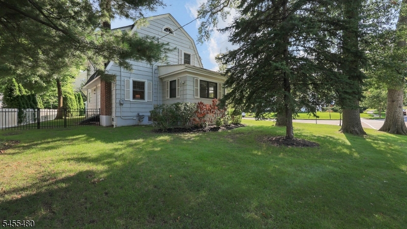 Large Side Yard