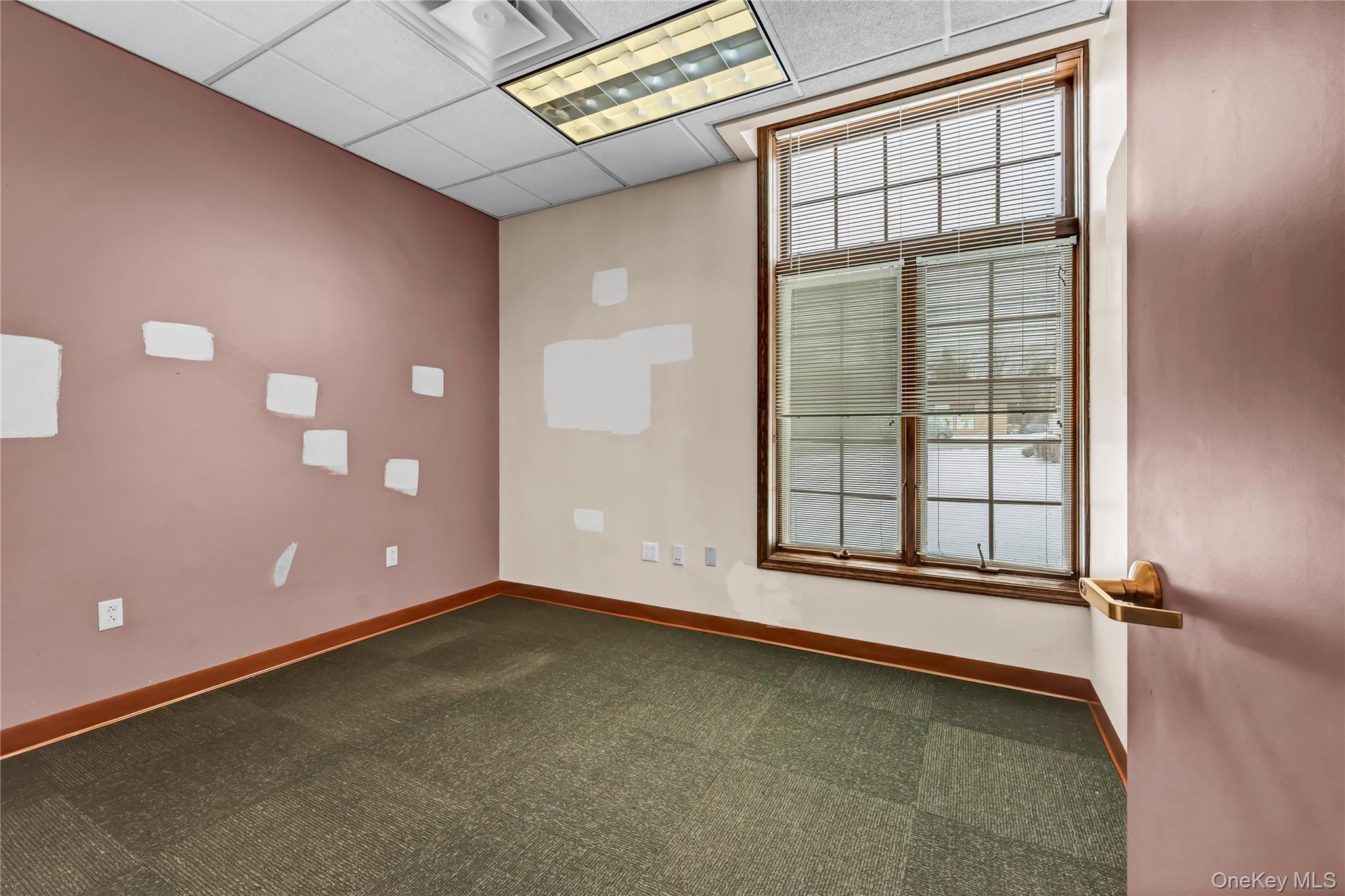 Spare room with a drop ceiling and dark colored carpet