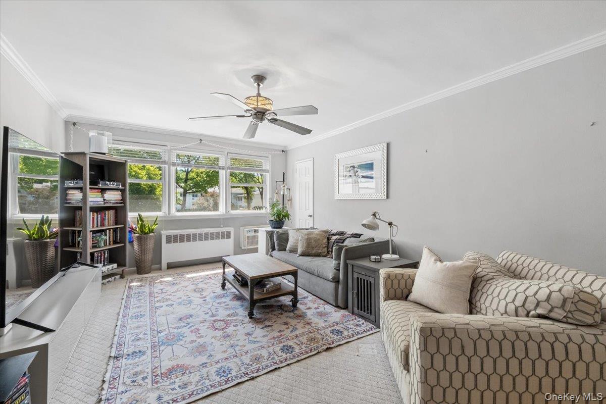Living room has natural light from 3 windows