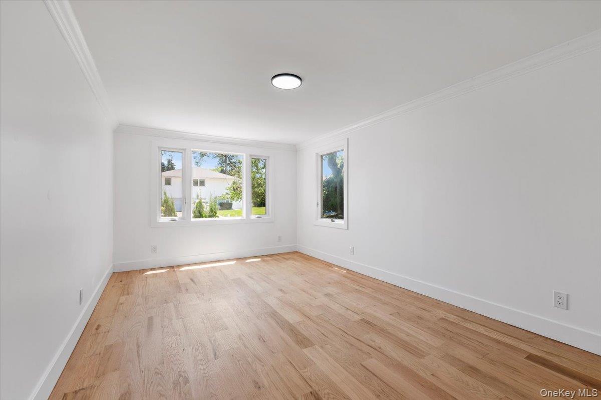 Unfurnished room with ornamental molding and light wood-type flooring