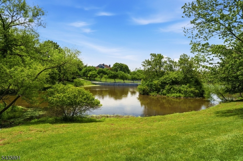 Nearby Pond
