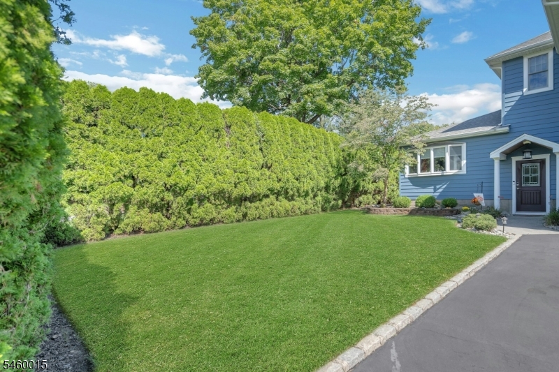 Side Yard