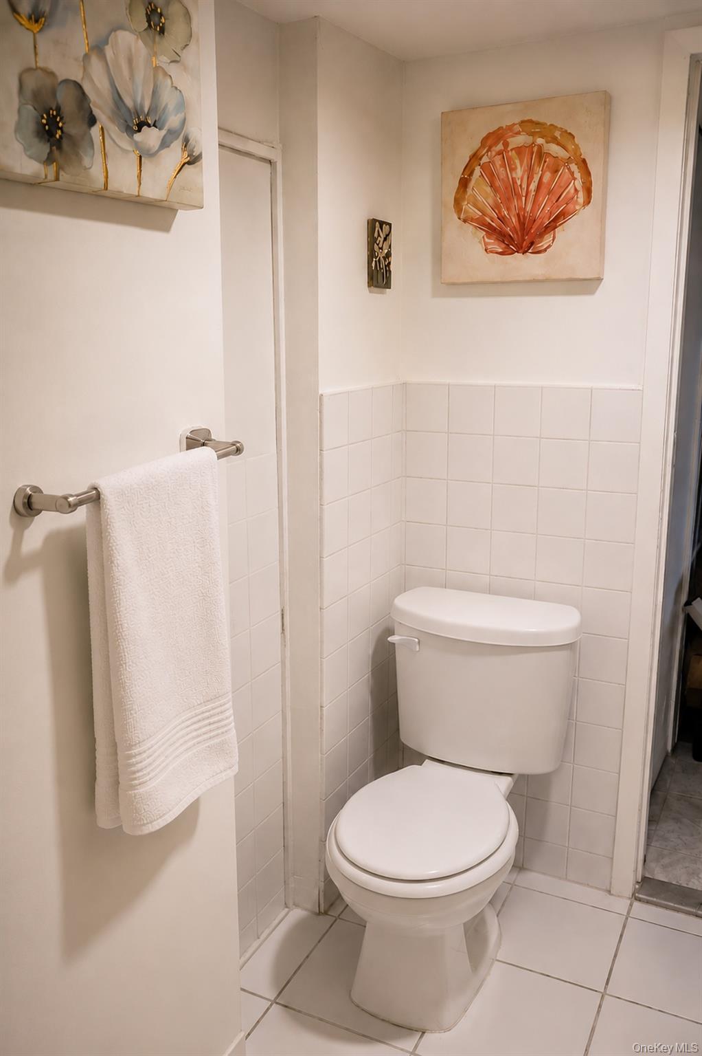 Basement bathroom - view 2
