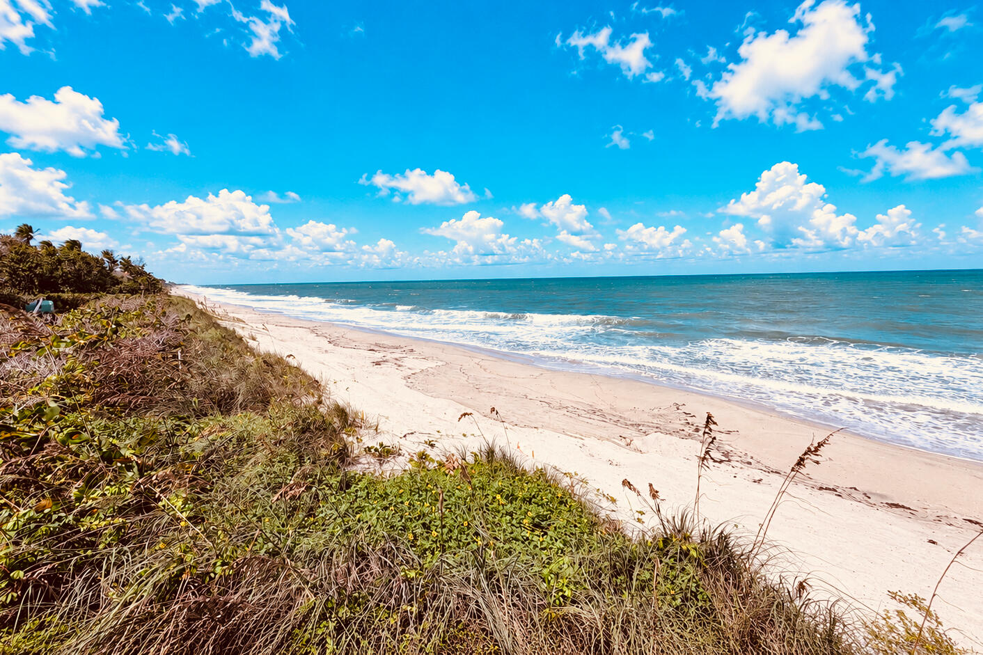 Ocean View & Access