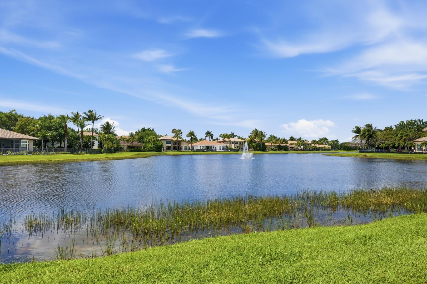 Water View