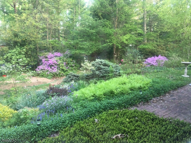 Rear gardens