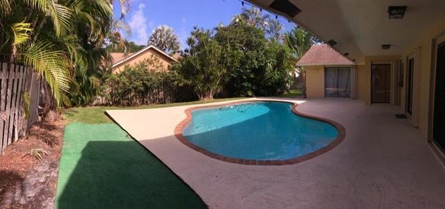 Freeform swimming pool with a surrounding concrete deck