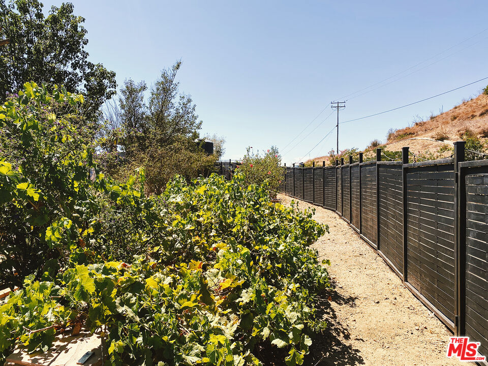 fenced yard