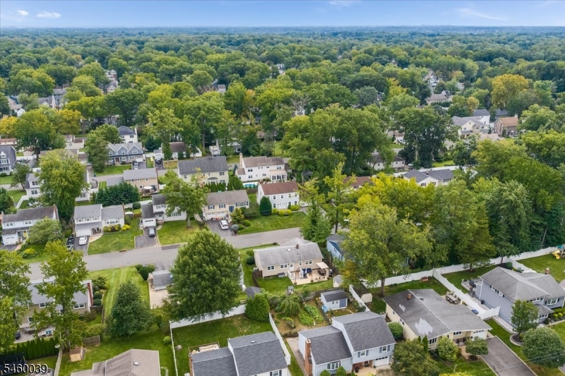 Aerial Neighborhood