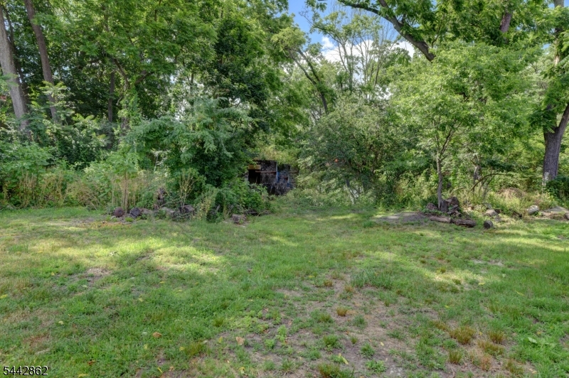 back property