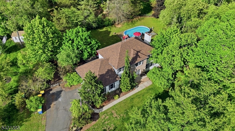 Drone View