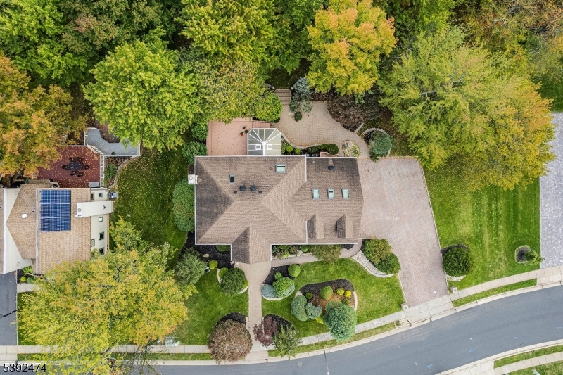 aerial