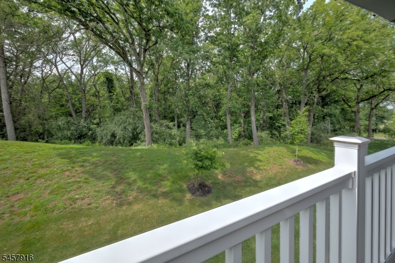 Peaceful Wooded Views