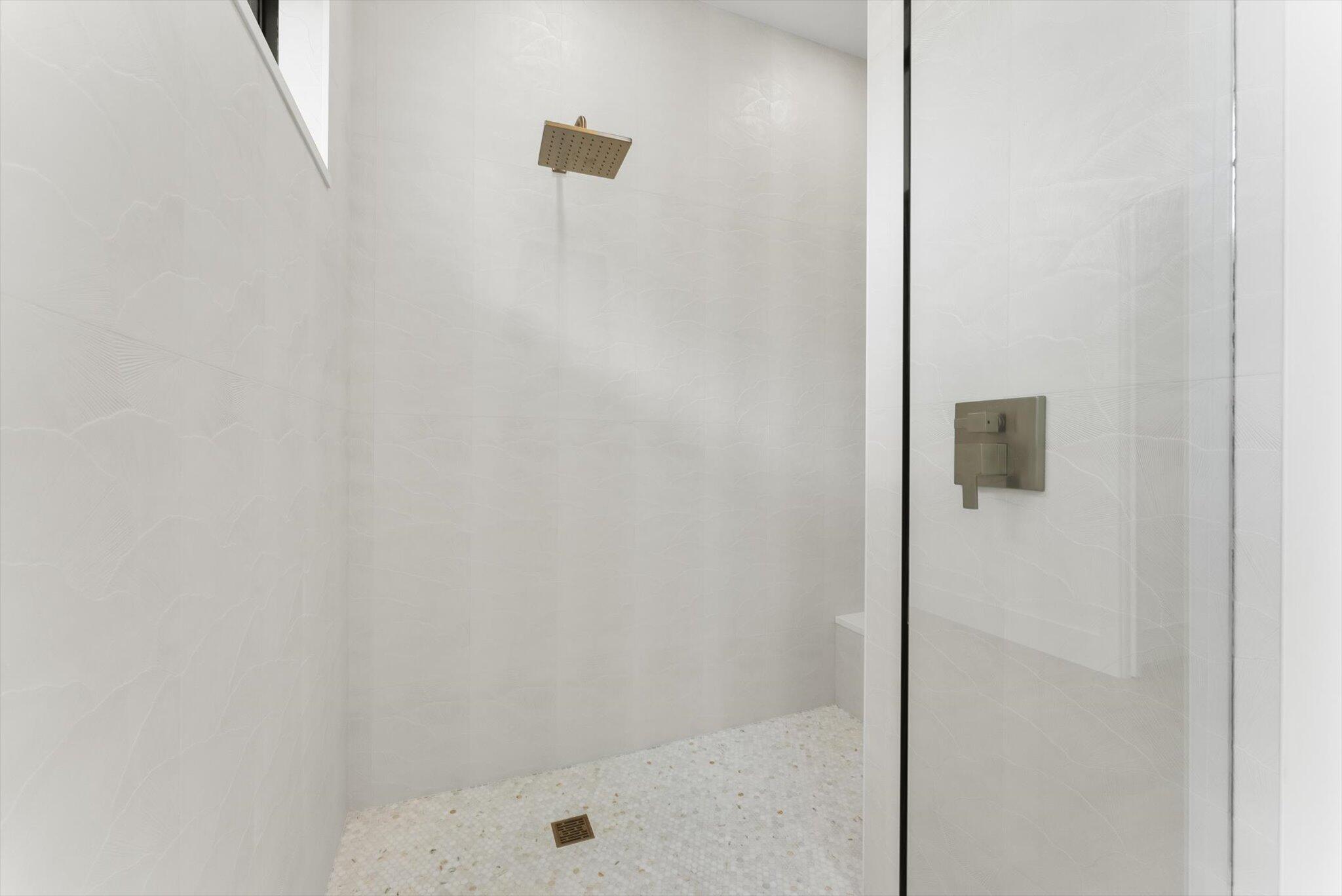 Primary Shower